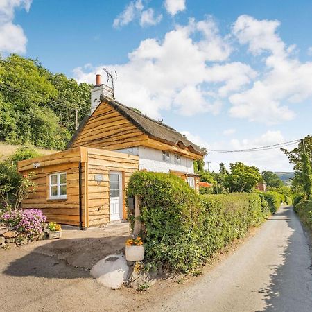 Elsies Cottage Pontesbury Kültér fotó