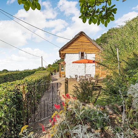 Elsies Cottage Pontesbury Kültér fotó